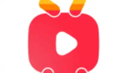 Status & YT - Status Saver & Youtube Download